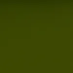Valencia 5001 Olive