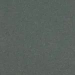 Whizz 44