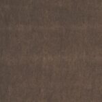 LUCIR 081