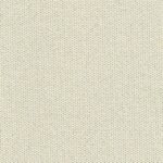OLIVE 01