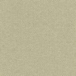 OLIVE 02
