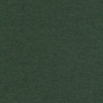 OLIVE 55