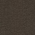 TWINWOOL 77