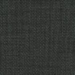 UMBRA 81