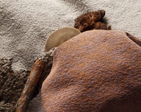 jpeg-optimizer_84410A24-23DE-4577-A9961C1EA5420AE5