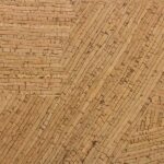 CORKENCO-CALAMITES3009